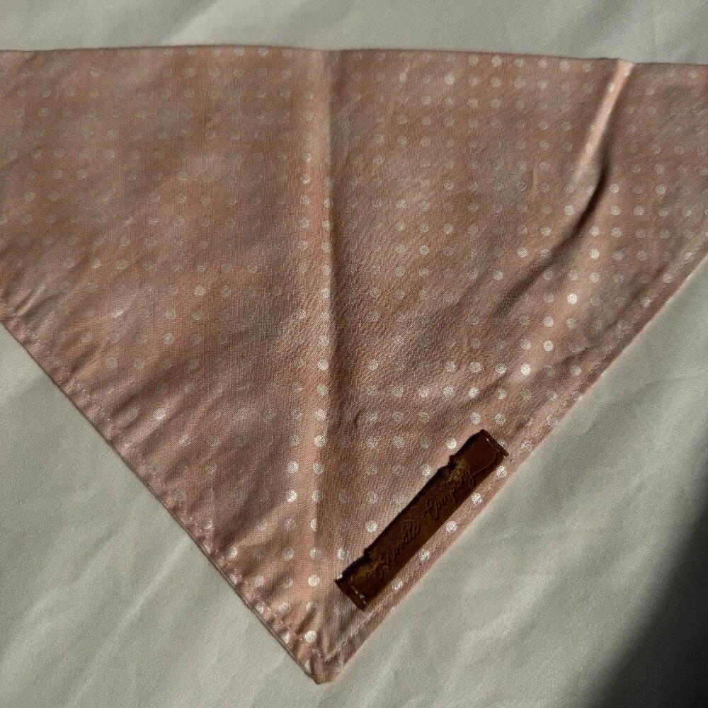 EUC, Canoodle Polka Dot Pattern Dog Bandana, White and Pink, Size M
